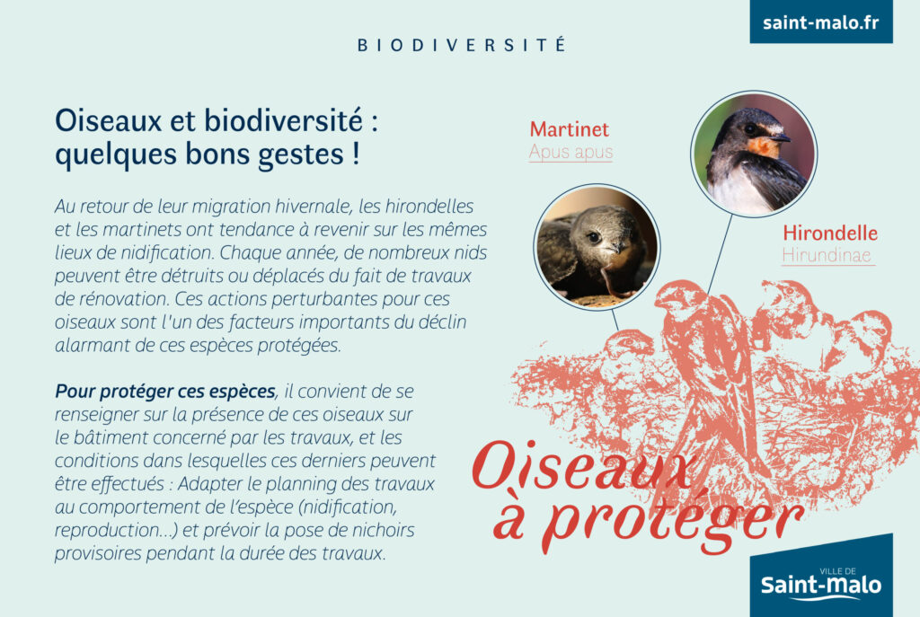 Biodiversite-Oiseaux-2.jpg