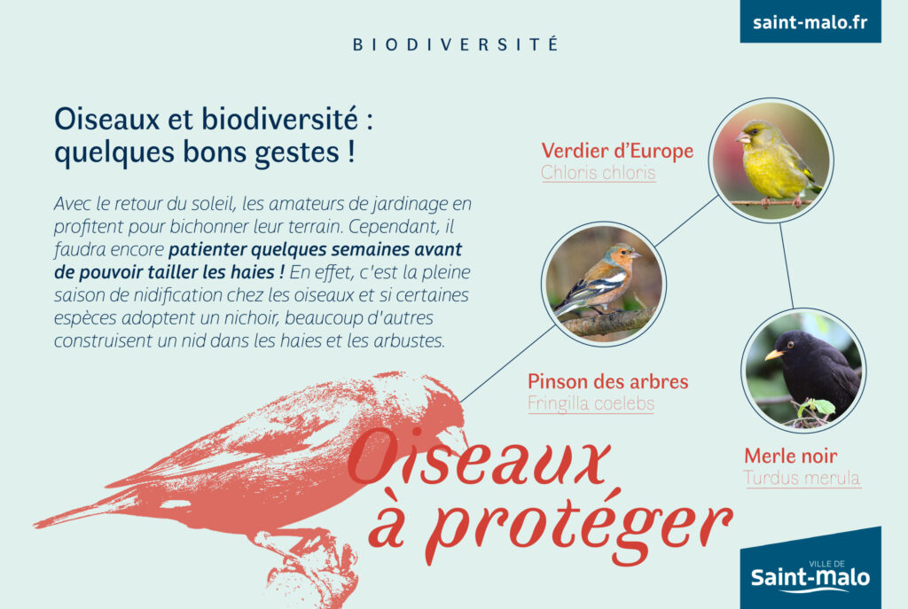 Biodiversite-Oiseaux-scaled