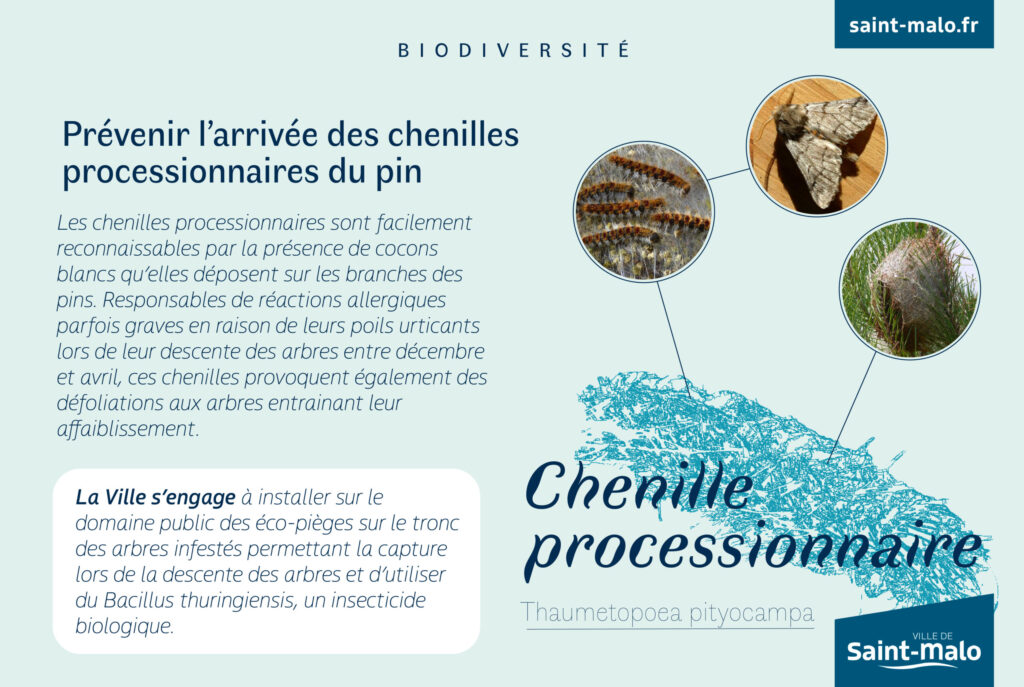 Biodiversite-chenilles-ok.jpg