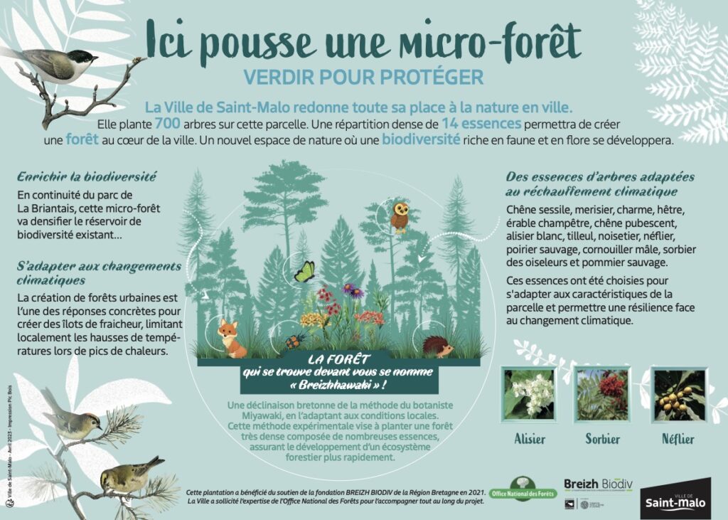 Micro-forêt à la Briantais