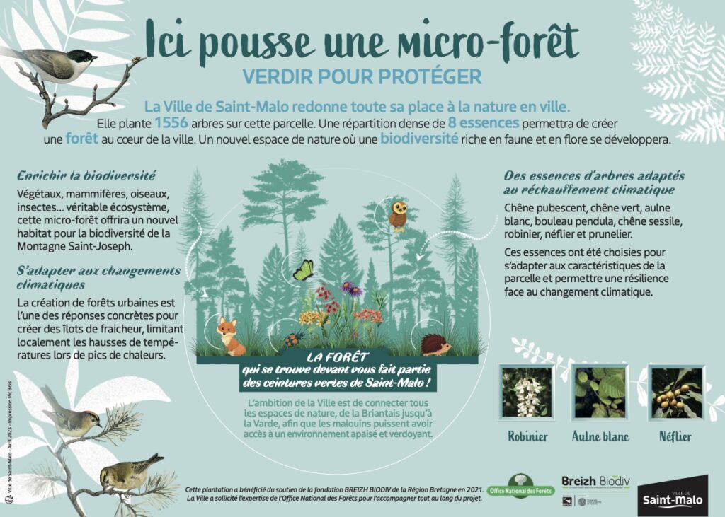 Micro-forêt à la montagne Saint-Joseph