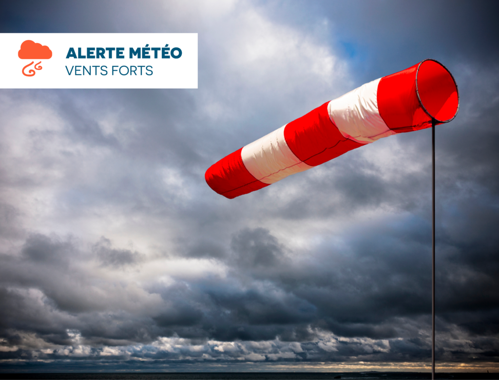 Alerte météo vents forts