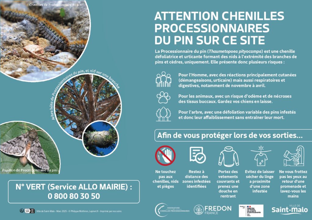 Panneau Attention Chenilles Processionnaires