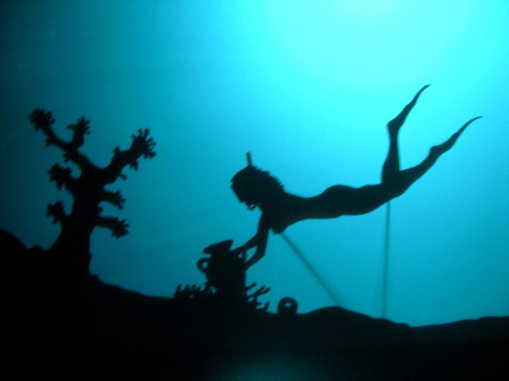 Initiations au théâtre d'ombres